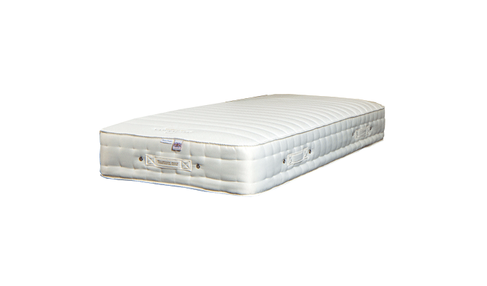 Millbrook Echo Memory Quilted 1000